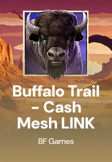 Buffalo Trail - Cash Mesh LINK